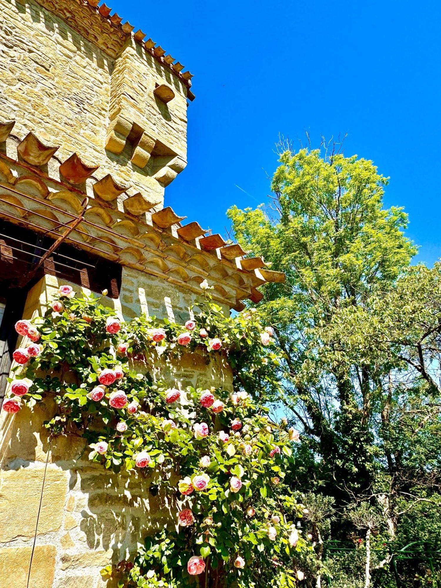 Chateau De Tournou Castelreng Exteriér fotografie